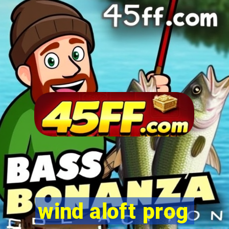 wind aloft prog